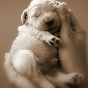 Meet your Posher, Reena